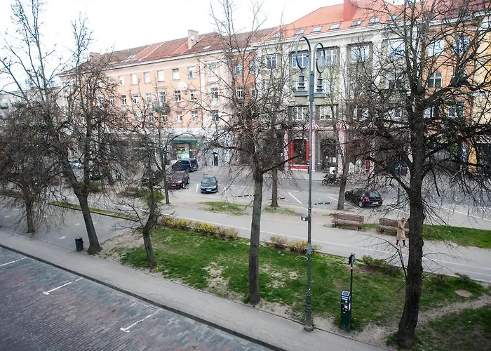 V 18 Appartement Vilnius